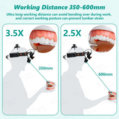 Headlight with Loupes 2.5X+3.5X with composite optical filter
