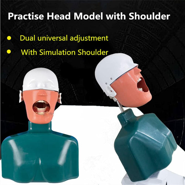 Phantom Head Adjustable Height with Chest