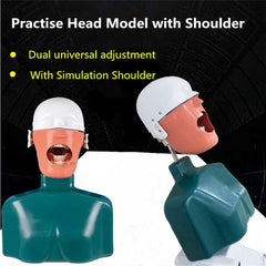 Phantom Head Adjustable Height with Chest