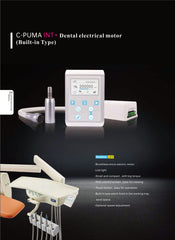 COXO‘s Catalogue 2023-2-31