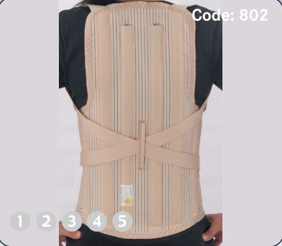 Full Back and Shoulder Support