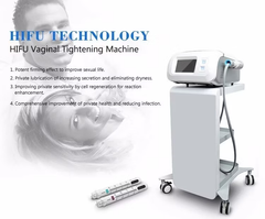 Professional Hifu Vaginal Tightening Machine