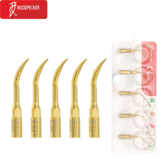 WhatsApp Image 2024-10-06 at 11.26.53 AM