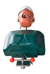 Phantom Head Adjustable Height with Chest