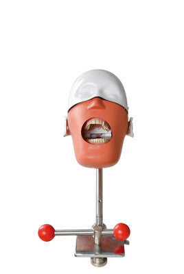 Phantom Head without Chest